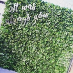 hedge green foliage flower wall